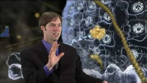 Stephen C. Meyer: Is intelligent design science? Signature in the Cell and Darwin