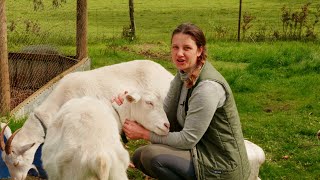 Around the farm and in my kitchen: the circle of life - Free Range Homestead Ep 77 @FreeRangeLiving