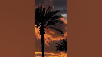 )"خشوع في دقيقة | تلاوة تريح القلب ✨📖#قرآن #تلاوة #خشوع #قرآن_كريم #راحة_نفسية