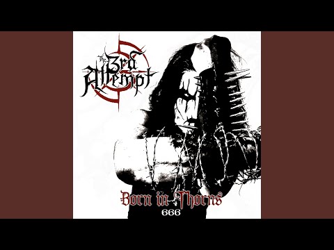 The 3rd Attempt — Born in Thorns