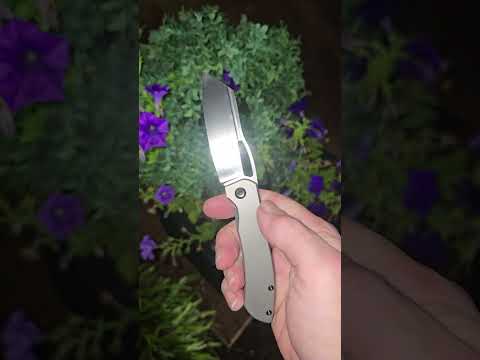 Kansept Cybin Blade & Front Flipper Mod by me