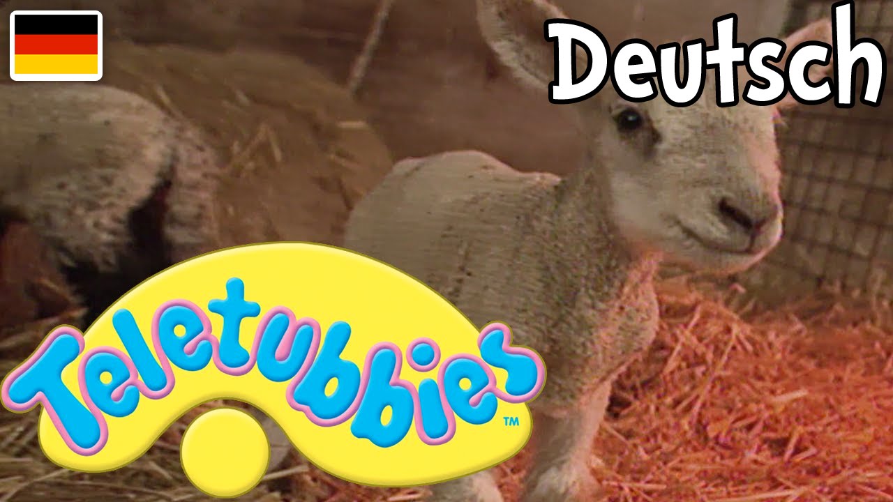 Teletubbies auf Deutsch - Lämmer