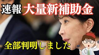 【超速報】予算青天井・中小企業・個人事業主向け新補助金情報・強く豊かな日本投資枠・経済産業省・中小企業庁・概算要求をいち早くお届け・令和９年度２０２７年度【中小企業診断士・行政書士 マキノヤ先生】