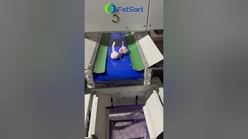 Garlic sorting grading machine