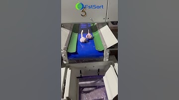 Garlic sorting grading machine
