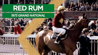 Classic Grand National No. 1 - Red Rum (1973)