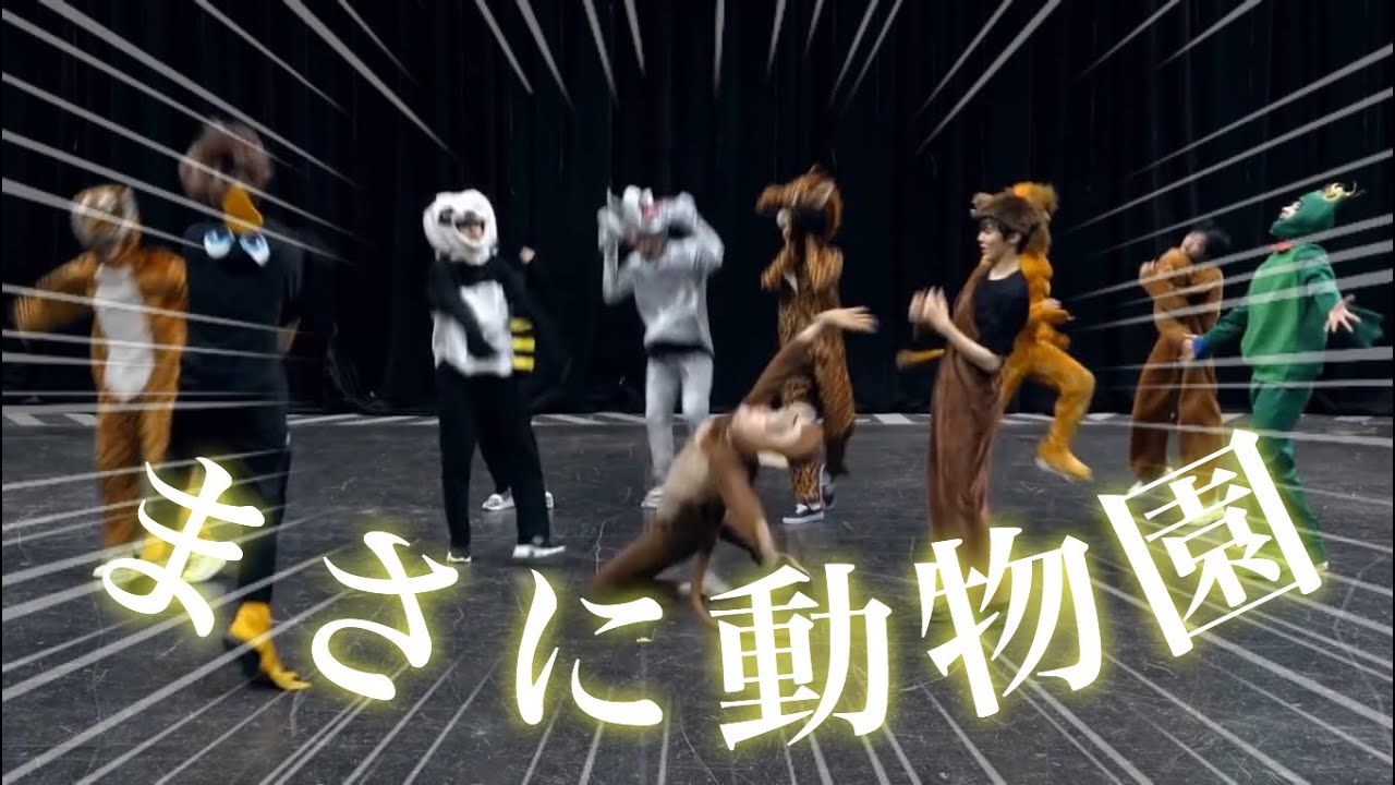 [Like Always]動物が暴れる動画です【X1/エックスワン】