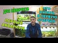 ДЛЯ НОВИЧКОВ! ПЕРВЫЙ АКВАРИУМ!!!