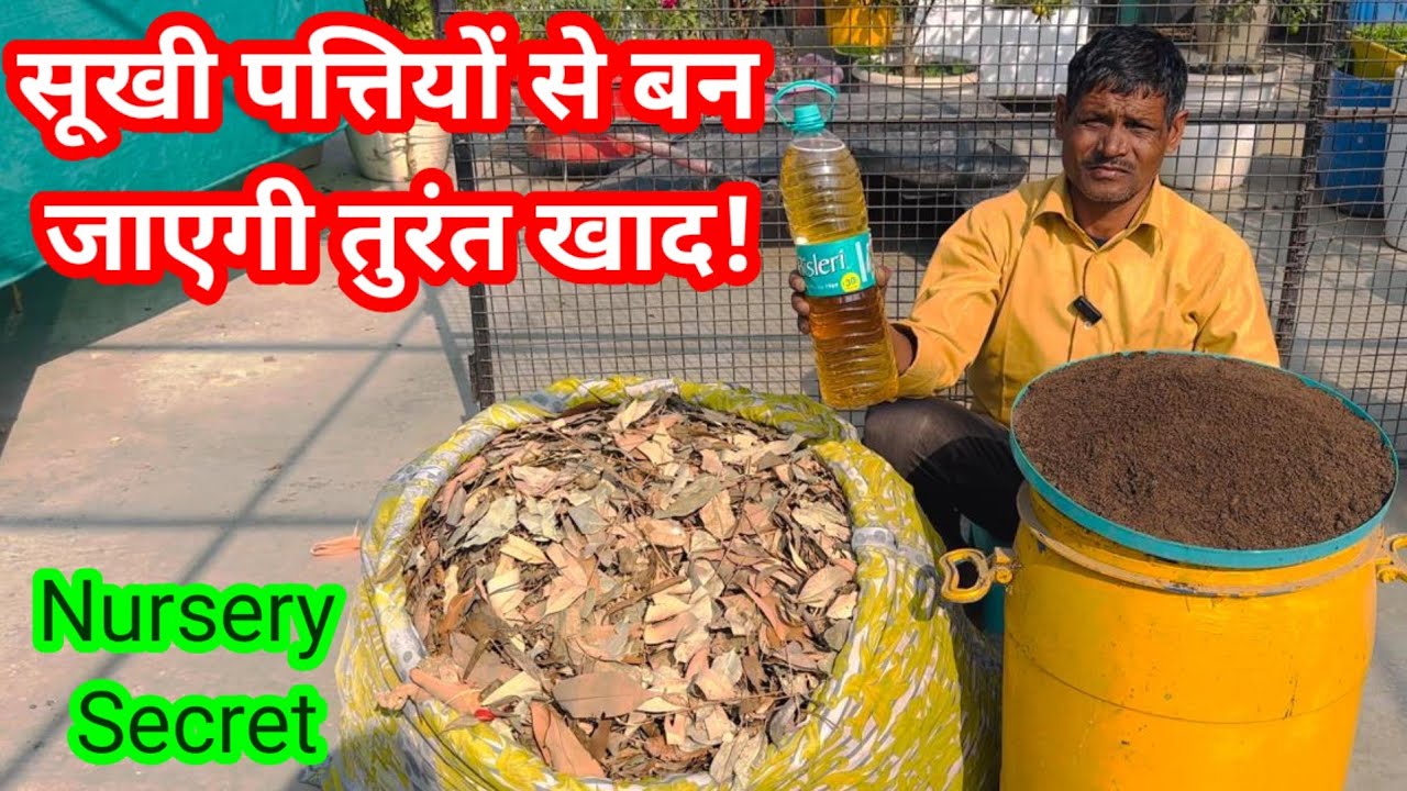 How to fast make Leaf Compost at home 🏡 🤔