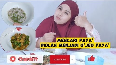 MENCARI PAYA