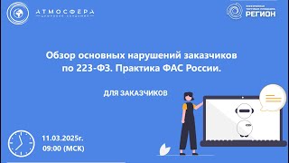 картинка: Обзор основных нарушений заказчиков по 223 ФЗ