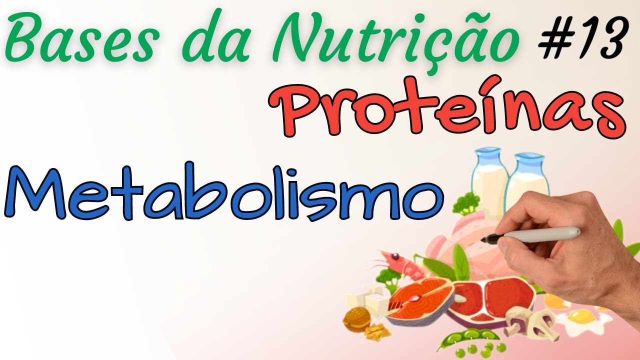 PROTEÍNAS: Metabolismo das Proteínas e dos Aminoácidos - Bases da Nutrição 13