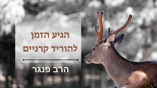 הרב פנגר - הגיע הזמן להוריד את הקרניים🫎