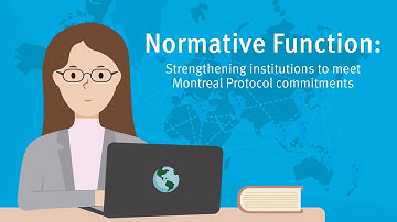 What makes the Montreal Protocol, a successful global environmental treaty?