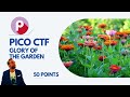 PicoCTF - Glory of the Garden - File Forensics