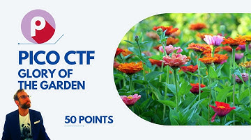 PicoCTF - Glory of the Garden - File Forensics