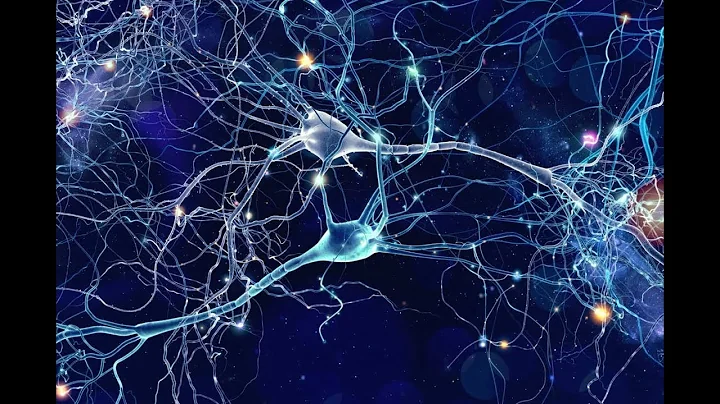 Idealism vs materialism: mind and matter