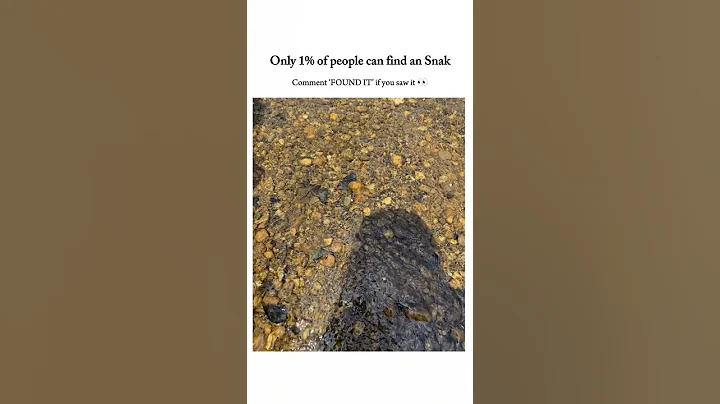 Only 1% Can Spot the Hidden Snake 🐍 | Extreme Visual Challenge!