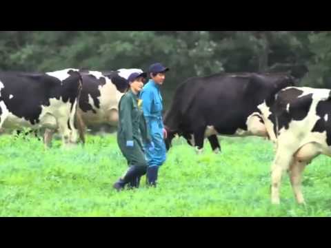ミルクランド北海道 CM 2013