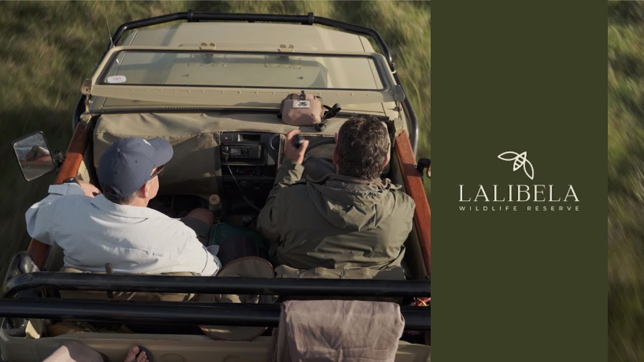 Lalibela Wildlife Reserve • Ascot Tours