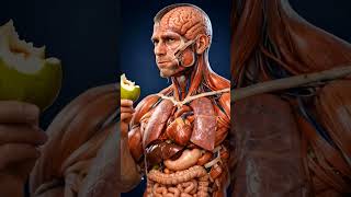 Benifit Of Eating Pear