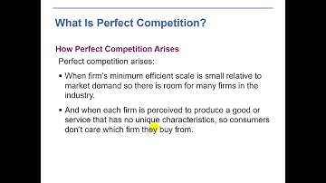 Perfect Competition   Part 1   Microeconomics    by Dr  Muhammad Meraj