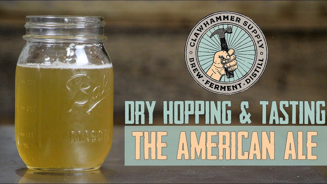 Dry Hopping and Tasting an "Easy" American Ale Brew Insight