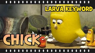larva chick special keyword cartoon compilation larvatuba