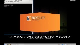 Introduction to Fuzzing Web Applications with Burp-Suite Intruder Tool