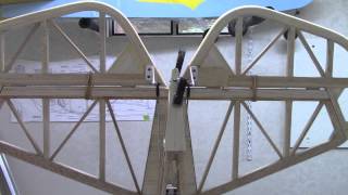 Split elevator Split fuse  Servo set up Net Worth