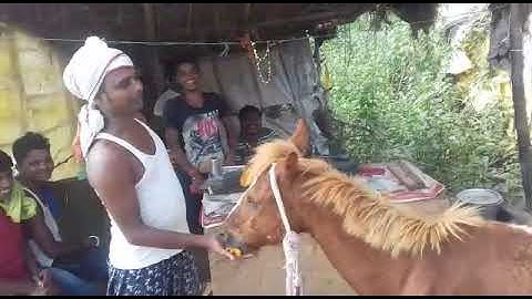 Sandeep kumar kushwaha jee like(4)