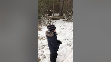 arrma Mojave 6s snow bash Aktion