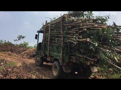 Video Công nông đầu ngang chở keo lên dốc#freesky - youtube