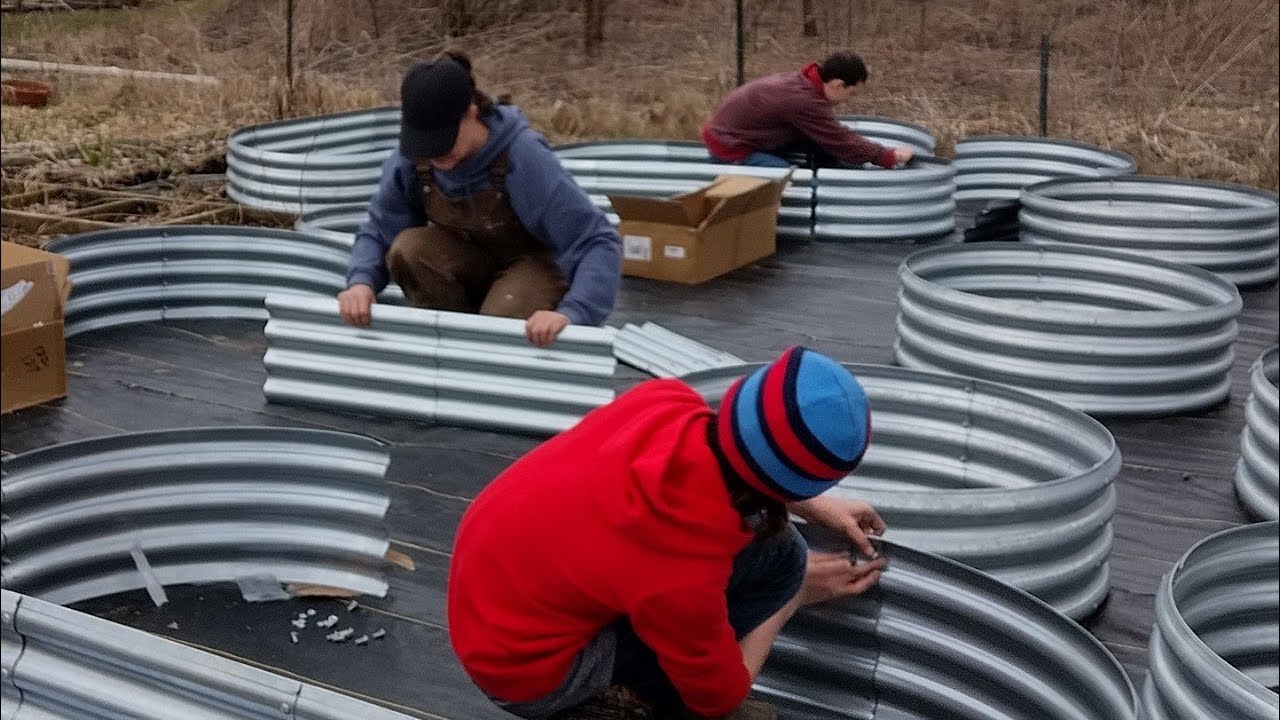 Incubating and Freeze Drying Eggs ~ Easy Beans and Rice Meal ~ Weekly Planning ~ Rooting Cuttings