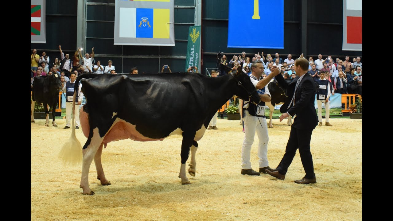 Mejores momentos del Concurso Nacional CONAFE 2019