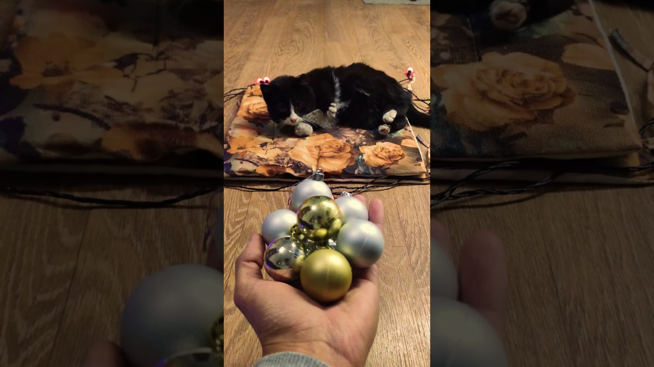 Cat Ugolyok Baubles 🎄 Reverse Video 