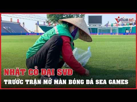 Video Mải miết nhặt cỏ dại trên sân Việt Trì trước trận bóng... - youtube