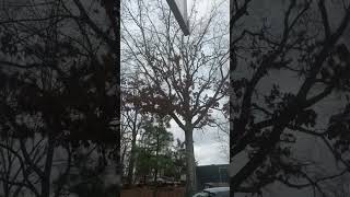 Storm Moving In storm stormchasing windydays thunderstorm shortsfeed shortsviral short