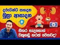 දර වන ට හ ද න ම ත ර ආසදන වක ගඩ වලට බලප ම ඇත ව නවද Urinary Tract Infection Of Children 