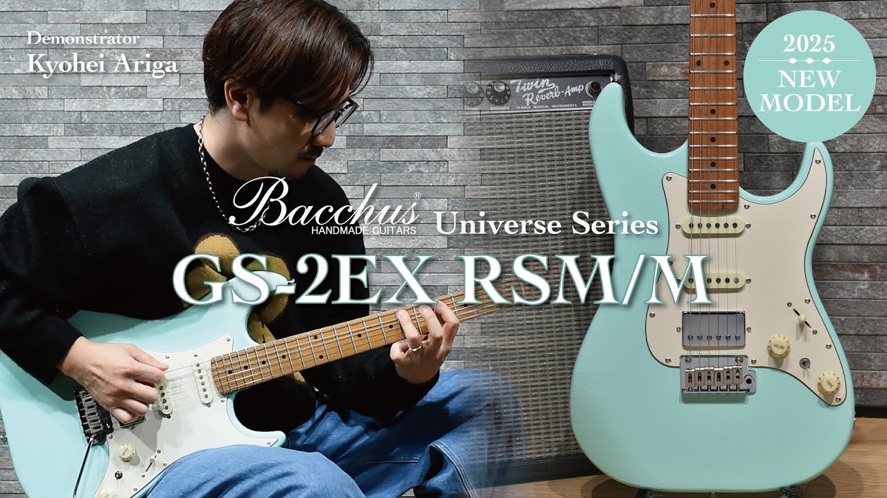 GS-2EX RSM/M | Deviser ｜株式会社ディバイザー｜長野県松本市の