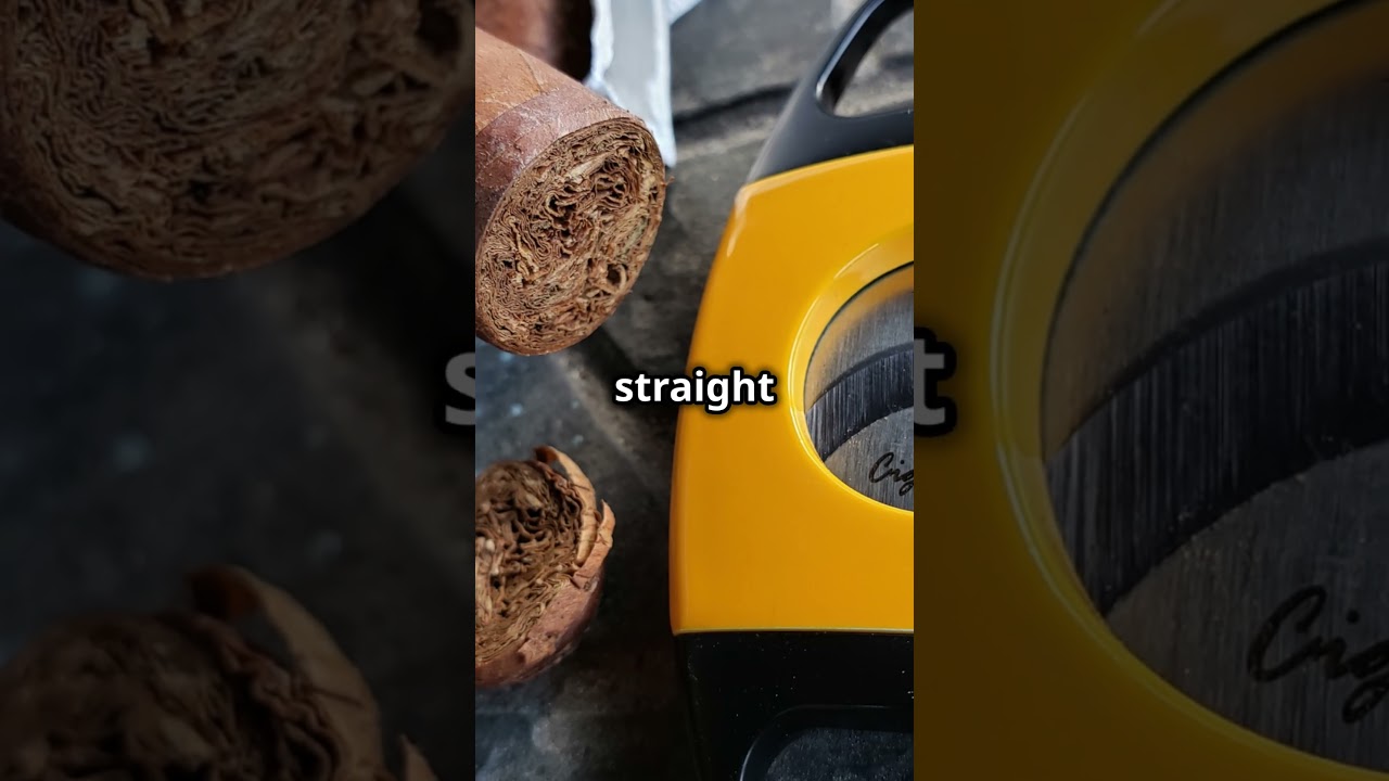 🔥 The Ultimate Cigar Cut Showdown: Straight, V-Cut, or Punch? Who Wins?