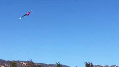 MSH Protos Max V2L Piroflips