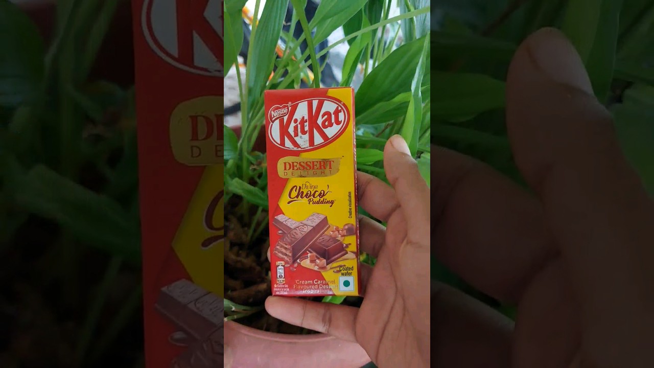 Nestle KitKat Choco Pudding Unwrapping 🍫 | Dessert Delight Chocolate