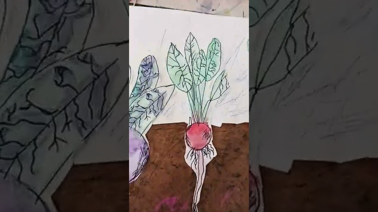 part 2 drawing vegetables in art class 