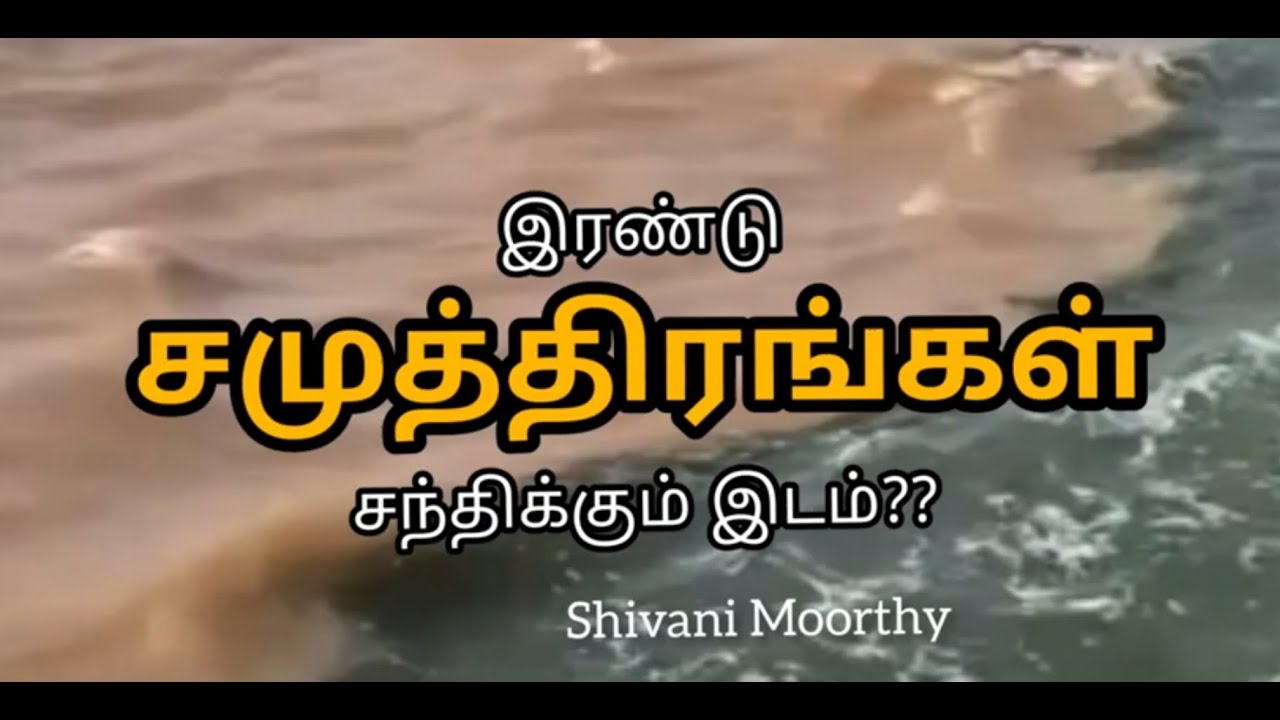 The Place Where Two Oceans Meet || Mini Bites || learn with Shivani Moorthy