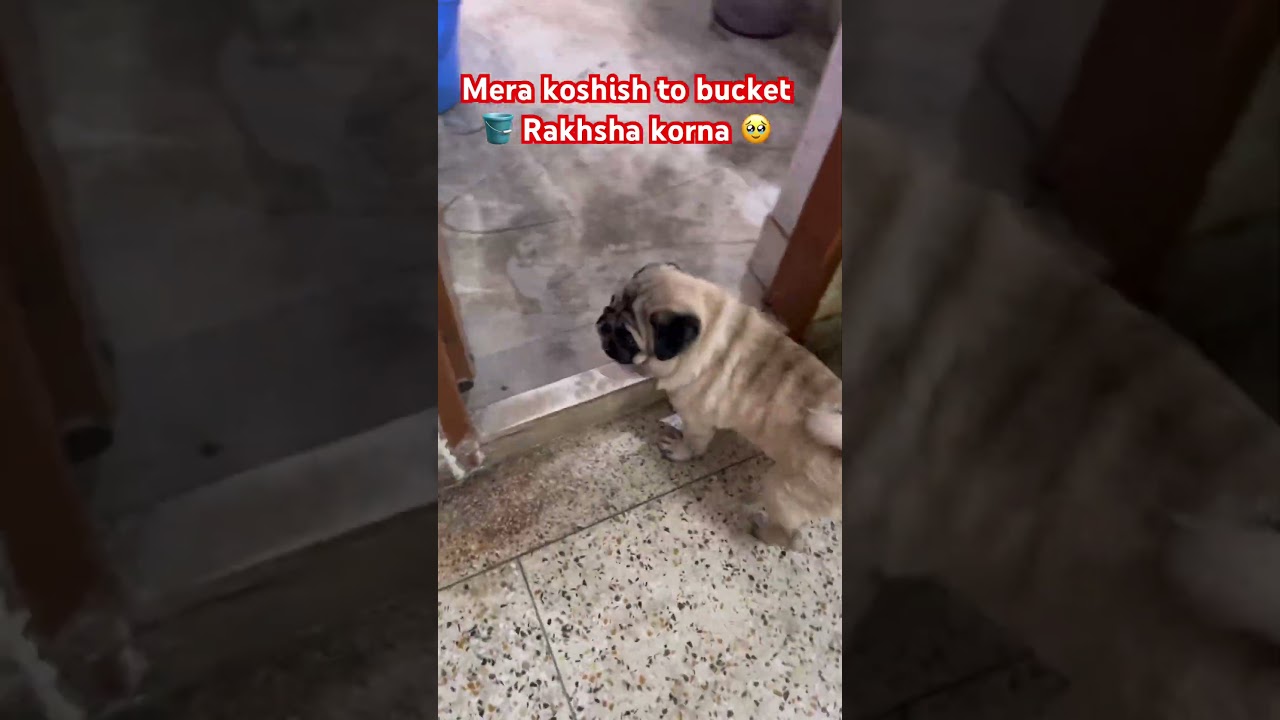 Kamiyab ho gayi to 🤗 