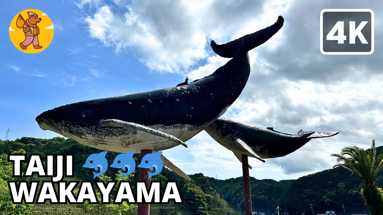 4K Taiji Wakayama Japan Walking Tour