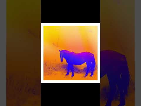 알레프 (ALEPH) - 워커홀릭 (Workaholic)