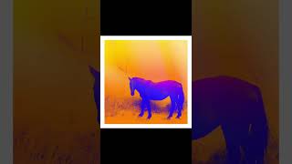 알레프 (ALEPH) - 워커홀릭 (Workaholic) - ALEPH