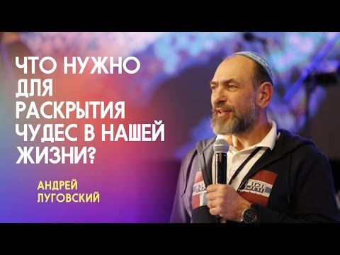 Что нужно для раскрытия чудес в нашей жизни? | Андрей Луговский